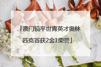 澳门镜平世青英才奥林匹克赛获2金1荣誉