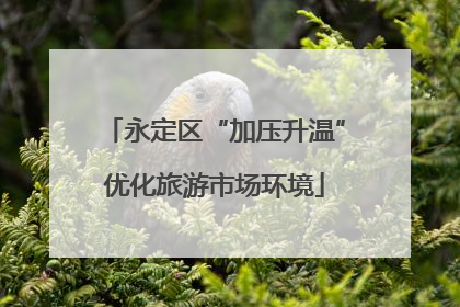 永定区“加压升温”优化旅游市场环境