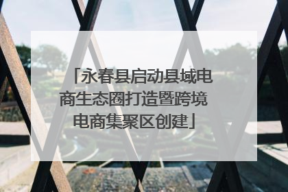 永春县启动县域电商生态圈打造暨跨境电商集聚区创建