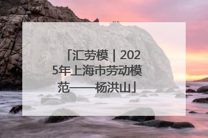 汇劳模｜2025年上海市劳动模范——杨洪山