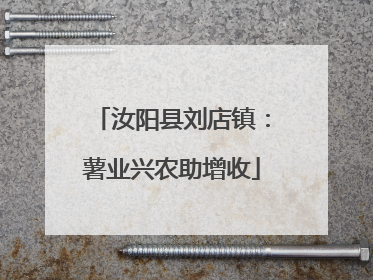 汝阳县刘店镇：薯业兴农助增收