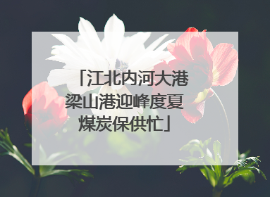 江北内河大港梁山港迎峰度夏煤炭保供忙
