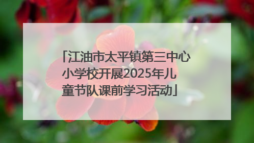 江油市太平镇第三中心小学校开展2025年儿童节队课前学习活动