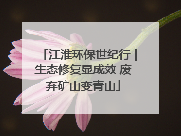 江淮环保世纪行｜生态修复显成效 废弃矿山变青山