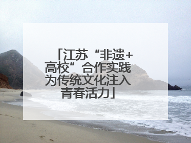 江苏“非遗+高校”合作实践为传统文化注入青春活力