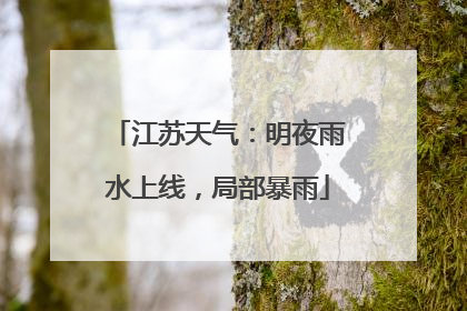 江苏天气：明夜雨水上线，局部暴雨