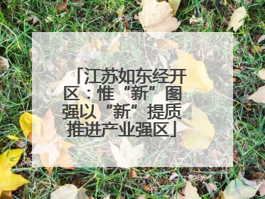 江苏如东经开区：惟“新”图强以“新”提质推进产业强区
