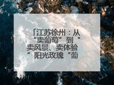 江苏徐州：从“卖葡萄”到“卖风景、卖体验”阳光玫瑰“葡”就致富路