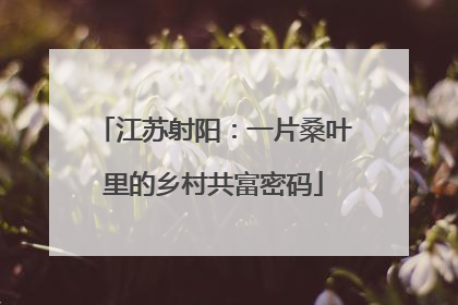江苏射阳：一片桑叶里的乡村共富密码