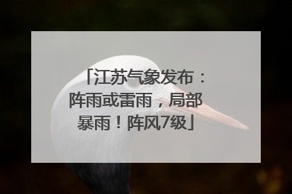 江苏气象发布：阵雨或雷雨，局部暴雨！阵风7级