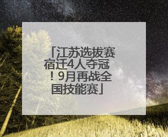 江苏选拔赛宿迁4人夺冠！9月再战全国技能赛