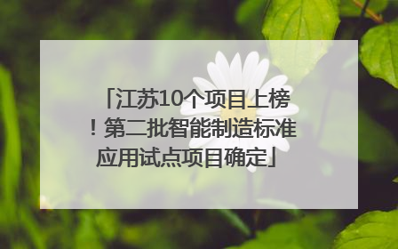 江苏10个项目上榜！第二批智能制造标准应用试点项目确定