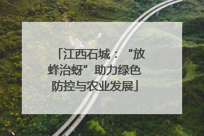 江西石城：“放蜂治蚜”助力绿色防控与农业发展