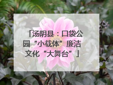 汤阴县：口袋公园“小载体”廉洁文化“大舞台”