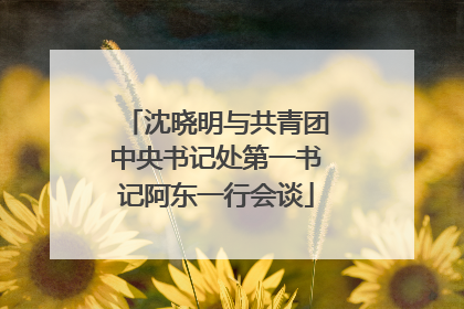 沈晓明与共青团中央书记处第一书记阿东一行会谈