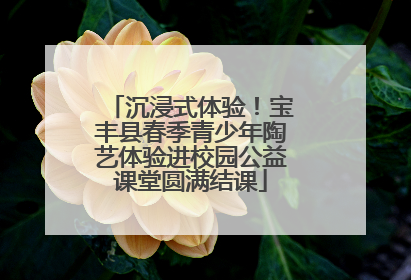 沉浸式体验！宝丰县春季青少年陶艺体验进校园公益课堂圆满结课