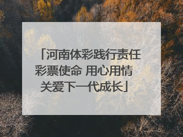 河南体彩践行责任彩票使命 用心用情关爱下一代成长