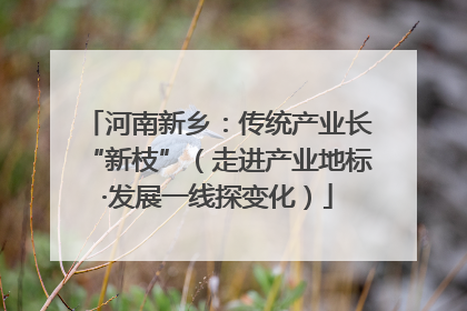 河南新乡：传统产业长“新枝”（走进产业地标·发展一线探变化）