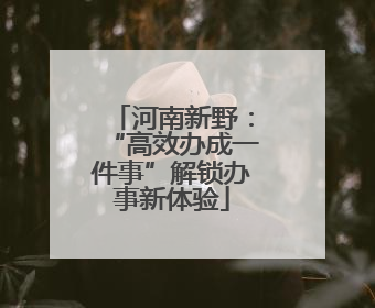河南新野：“高效办成一件事”解锁办事新体验
