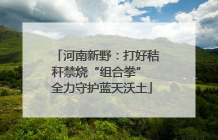 河南新野：打好秸秆禁烧“组合拳” 全力守护蓝天沃土