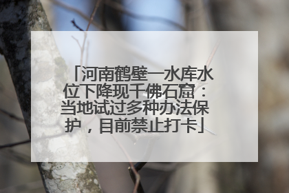 河南鹤壁一水库水位下降现千佛石窟：当地试过多种办法保护，目前禁止打卡