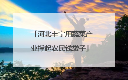 河北丰宁用蔬菜产业撑起农民钱袋子
