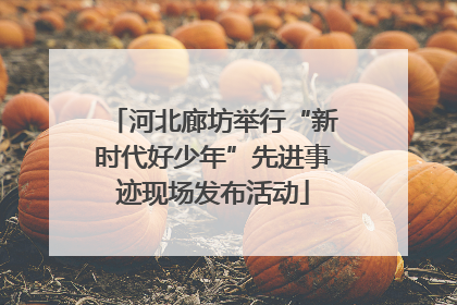 河北廊坊举行“新时代好少年”先进事迹现场发布活动