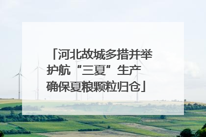 河北故城多措并举护航“三夏”生产 确保夏粮颗粒归仓