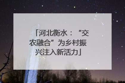 河北衡水：“交农融合”为乡村振兴注入新活力