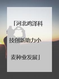 河北鸡泽科技创新助力小麦种业发展