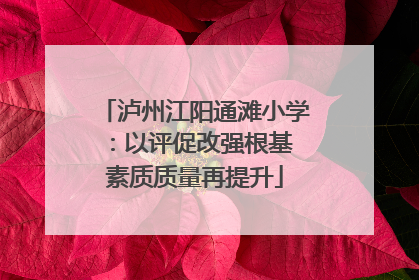 泸州江阳通滩小学：以评促改强根基 素质质量再提升