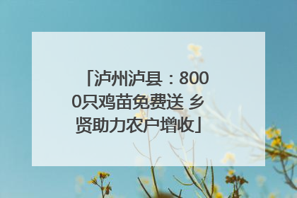 泸州泸县：8000只鸡苗免费送 乡贤助力农户增收