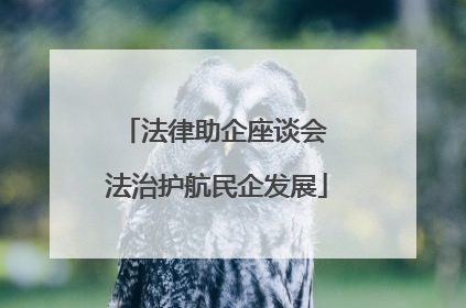 法律助企座谈会 法治护航民企发展