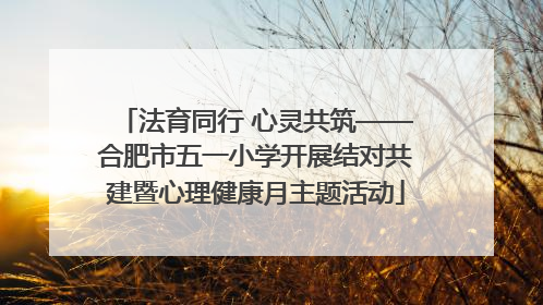 法育同行 心灵共筑——合肥市五一小学开展结对共建暨心理健康月主题活动