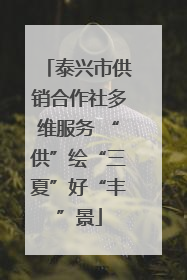 泰兴市供销合作社多维服务 “供”绘“三夏”好“丰”景