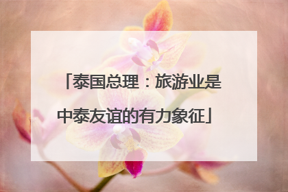 泰国总理：旅游业是中泰友谊的有力象征