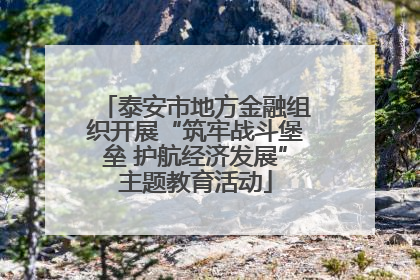 泰安市地方金融组织开展“筑牢战斗堡垒 护航经济发展”主题教育活动