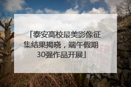 泰安高校最美影像征集结果揭晓，端午假期30强作品开展
