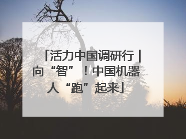 活力中国调研行｜向“智”！中国机器人“跑”起来