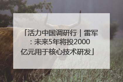 活力中国调研行｜雷军：未来5年将投2000亿元用于核心技术研发