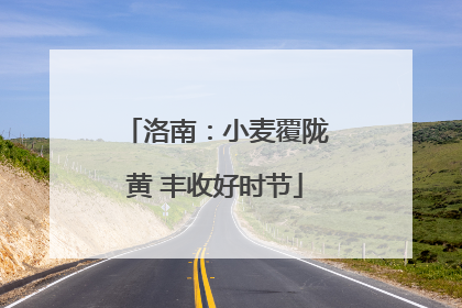 洛南：小麦覆陇黄 丰收好时节
