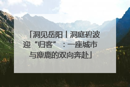 洞见岳阳丨洞庭碧波迎“归客”：一座城市与麋鹿的双向奔赴