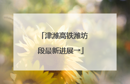 津潍高铁潍坊段最新进展→
