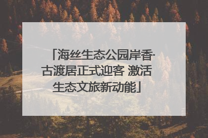 海丝生态公园岸香·古渡居正式迎客 激活生态文旅新动能