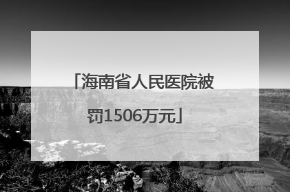海南省人民医院被罚1506万元