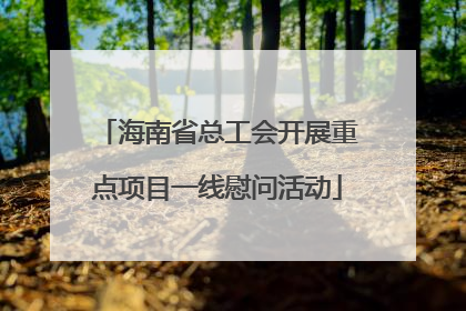 海南省总工会开展重点项目一线慰问活动