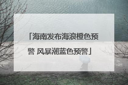 海南发布海浪橙色预警 风暴潮蓝色预警
