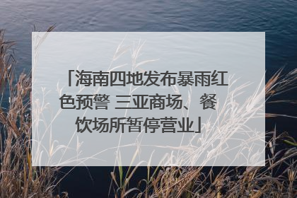 海南四地发布暴雨红色预警 三亚商场、餐饮场所暂停营业