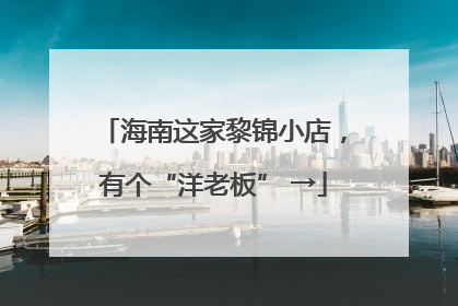 海南这家黎锦小店，有个“洋老板” →