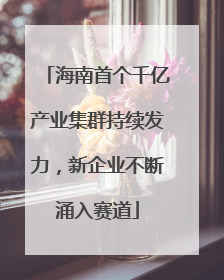 海南首个千亿产业集群持续发力，新企业不断涌入赛道